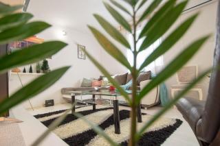 Central duplex apartment - Novi Sad - 7