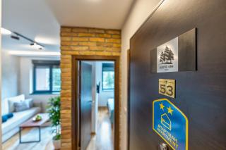 Rustic Vibe Apartman Zlatibor - Palisad - 8