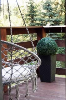 Apartament Zacisze - 4