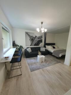 Close to the metro and the beach!!! with a view of the Scandinavian forest - Stoccolma - 7