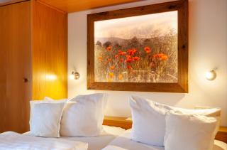 Hotel Sauerländer Hof - Willingen - 5