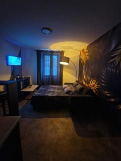 Appartement spacieux MULHOUSE - Mulhouse - 2