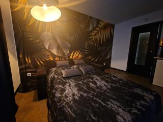 Appartement spacieux MULHOUSE - 4