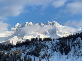 Les Œillets, Les portes du Soleil - Champoussin - 2