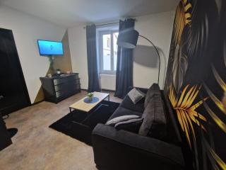 Appartement spacieux MULHOUSE - Mulhouse - 6