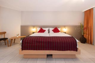 Hotel Alex Business & SPA - Naters - 6