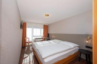 Hotel Alex Business & SPA - Naters - 5