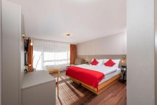 Hotel Alex Business & SPA - Naters - 7