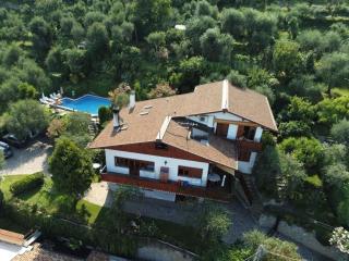 Apartment Delvai-1 by Interhome - Brenzone sul Garda - 0