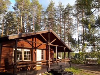 Holiday Home Aaretti by Interhome - Arrakoski - 0