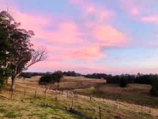 Mountain Culture Farm Stay - pet friendly - Kanimbla - 2