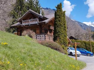 8 person chalet with hot tub in Portes du Soleil - Montriond - 0