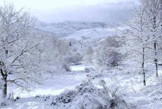 Casas da Assureira - 8