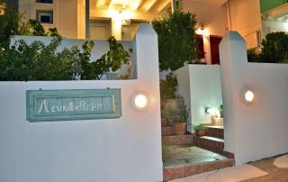 Lefkanthemo - Astypalaia - 1