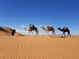 Erg Chigaga Camp Tours - El Gouera - 3
