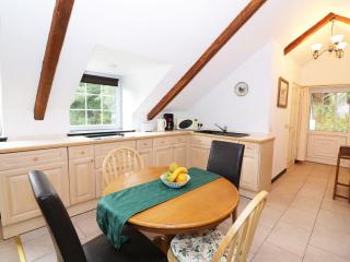 Loft apartment - Llandysul - 6