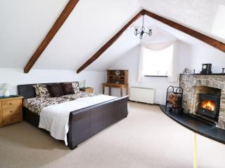 Loft apartment - Llandysul - 4