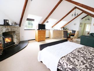 Loft apartment - Llandysul - 3