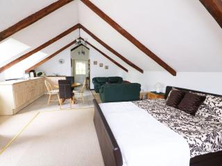 Loft apartment - Llandysul - 2