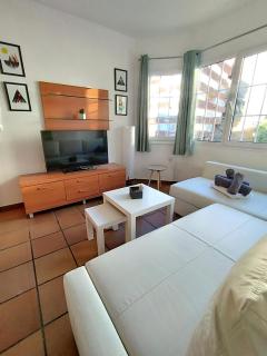 Apartamentos Arttyco con parking y wifi by SURYNIEVE - Sierra Nevada - 1