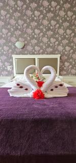 Hotel Olimp - Cluj-Napoca - 9