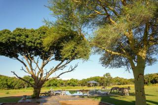 Zebras Crossing - Modimolle - 4