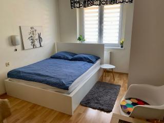 Apartament Joanna parter blisko Rynku, Onkologii i strefy ekonomicznej - Gliwice - 9