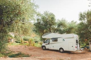 Olive Camping - Himare - 2