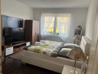 Paradies-Ostsee-Ferienwohnung - 5