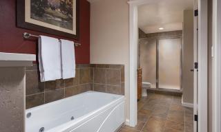 Wyndham Steamboat Springs 2 BR - 5