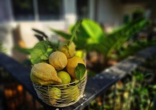 Entire house in Pakchong - 2