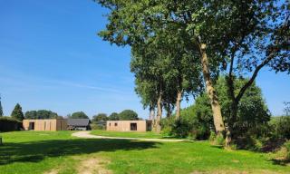 Bonte schaap - Elspeet - 2