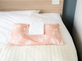 Super Hotel Fujikawaguchiko Tennenonsen - 5