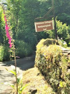 Contractor and Trade Accommodation - West Wales - Ample Parking - Sleeps up to 10 - Llanfyrnach - 4