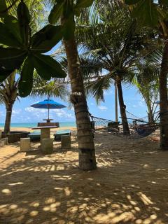 Hotel Coconut Bay - Kalutara - 7