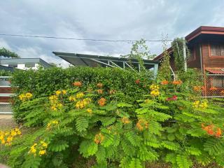 Beautiful studio-apartment near the beach - Uvita - 7