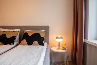 Urban Arctic Elegance: 2-Room Stylish Getaway - 8