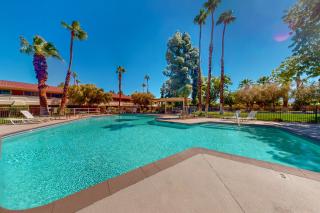 Palm Paradise Villa - Palm Springs - 9