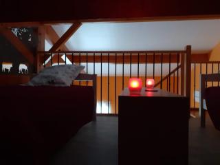 Gîte PMR Evasion Camarguaise - 4