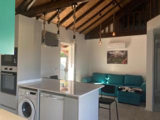 Casa da Ilha Granjal Treixedo - - 6