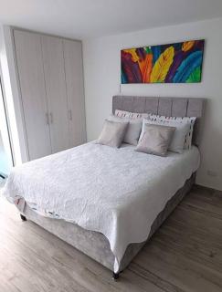Apartaestudio Amoblado Ibagué - 8