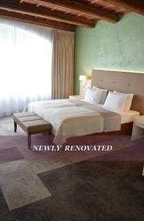The Golden Wheel Hotel - Prague - 0
