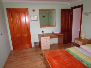 Tourist Farm Dujceva Domacija - Vremski Britof - 7