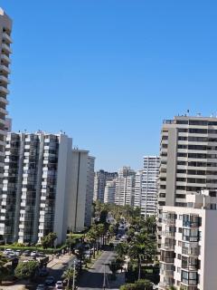 Estudio en San Martin ,Impecable - Viña del Mar - 9