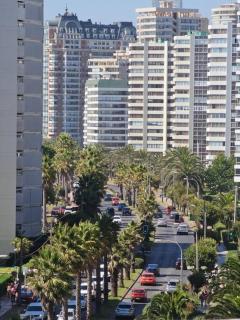 Estudio en San Martin ,Impecable - Viña del Mar - 1