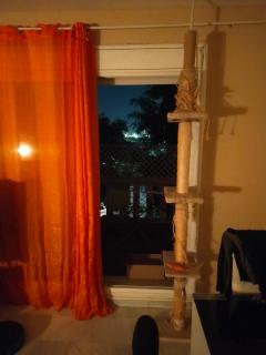 Es HABITACION en piso compartido! - 7