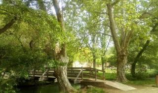Location Saisonnière Villa - Uzès - 6