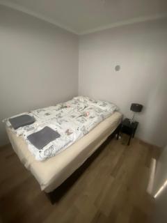Luxus apartment Byggdarhorn - Selfoss - 5