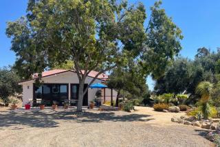 Hilltop Vineyard and Agave Field with View - Santa Ynez - 8