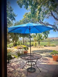 Hilltop Vineyard and Agave Field with View - Santa Ynez - 9